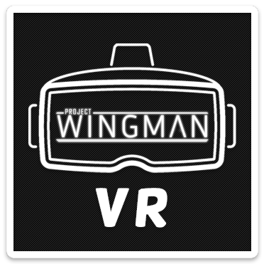 Project Wingman VR