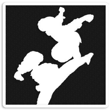 Martial Arts in Anime Panel